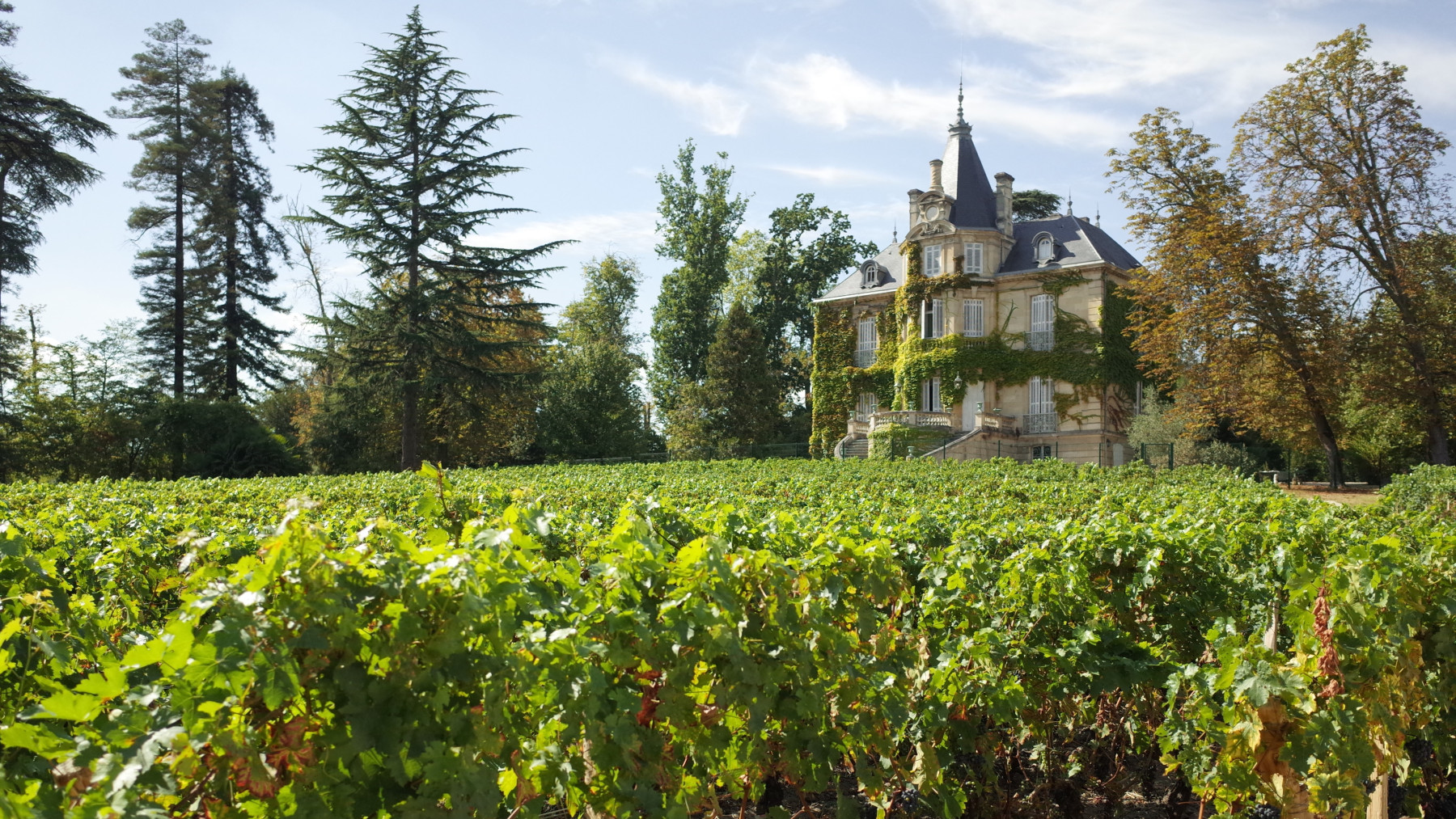 château les carmes haut-brion