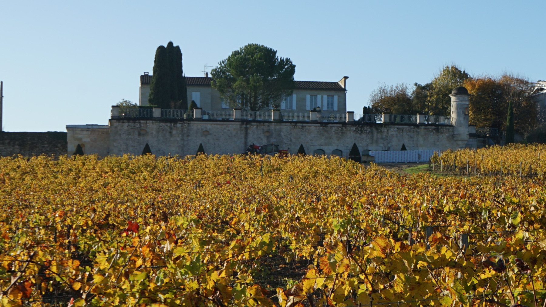 château balestard la tonnelle