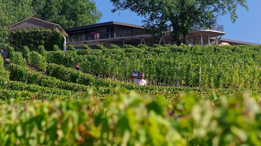 château réaut